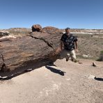  Petrified Forrest 1